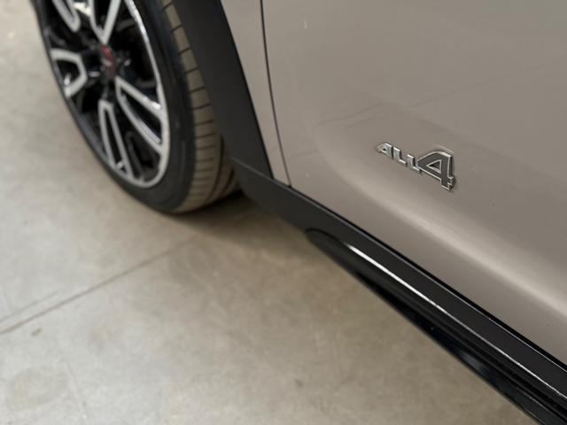 MINI Countryman usata, con Bracciolo