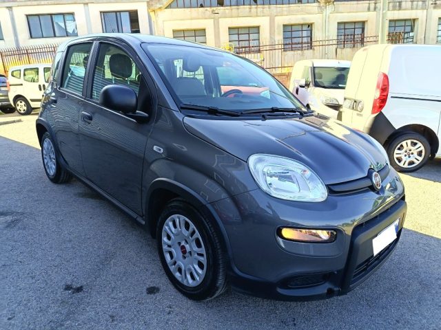 FIAT Panda usata 1