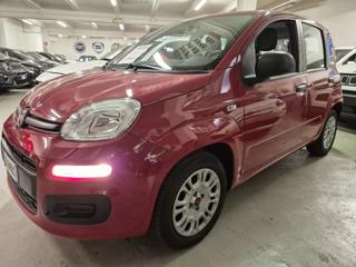 FIAT Panda usata, con Airbag Passeggero