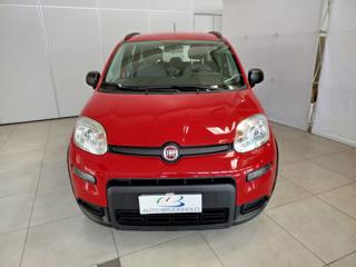 FIAT Panda usata, con Antifurto