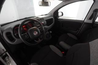 FIAT Panda usata 8
