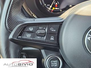 ALFA ROMEO Tonale usata, con Chiusura centralizzata telecomandata