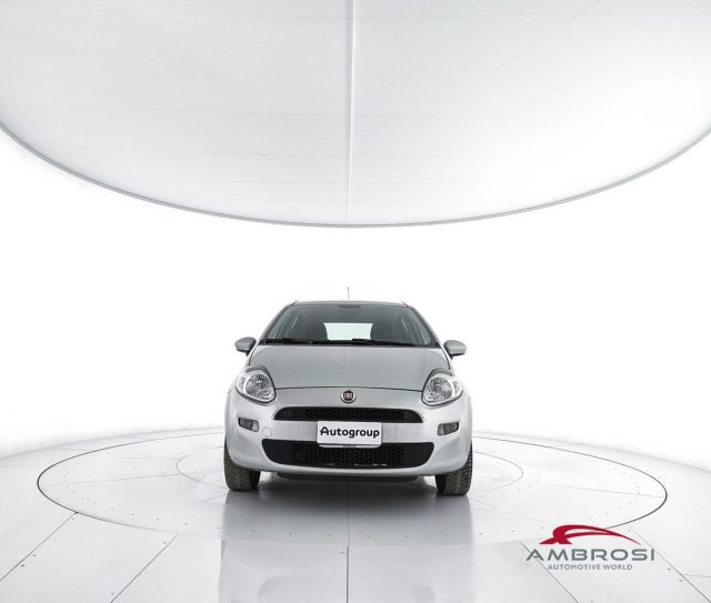 FIAT Punto usata 4
