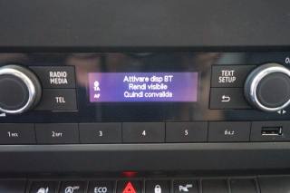 RENAULT Trafic usata, con Filtro antiparticolato