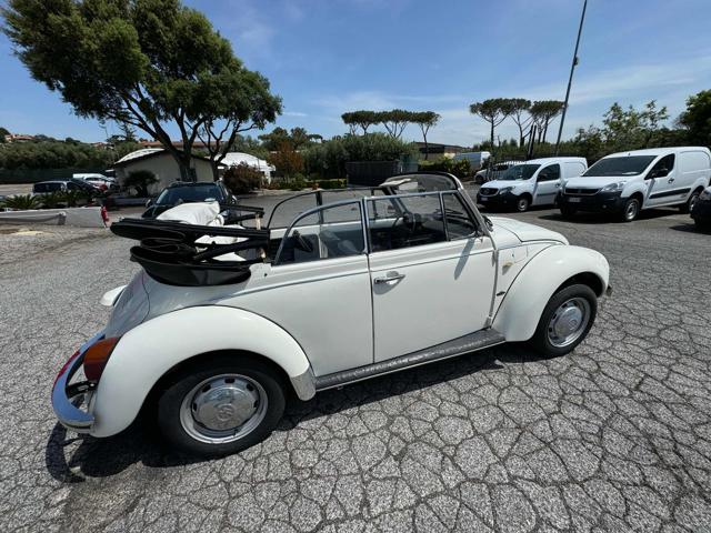 VOLKSWAGEN Maggiolone usata 12