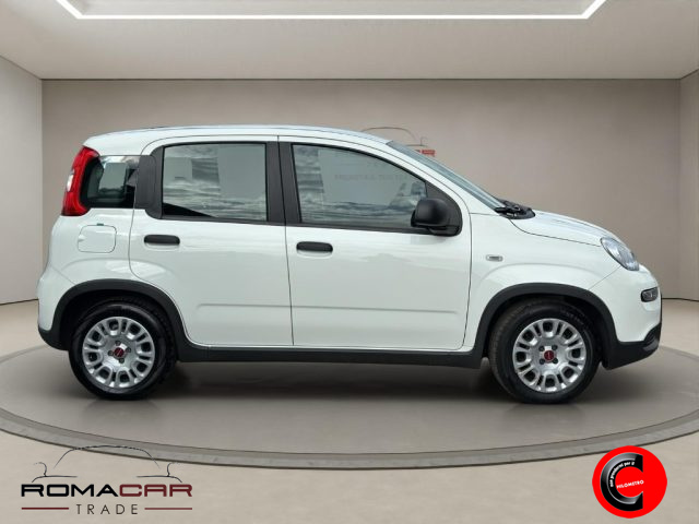 FIAT Panda usata, con Antifurto