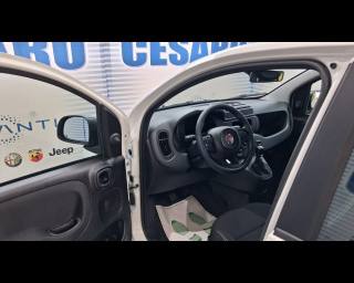 FIAT Pandina usata, con Controllo automatico clima