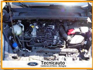 FORD Puma usata, con Bracciolo