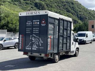 FIAT Ducato usata, con Servosterzo