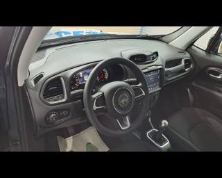 JEEP Renegade usata, con Cruise Control