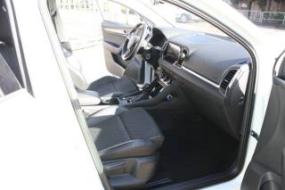 SKODA Karoq usata, con Fendinebbia