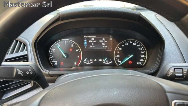 FORD EcoSport usata, con Fendinebbia