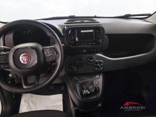 FIAT Panda usata 13
