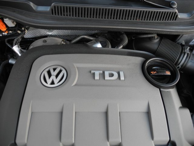 VOLKSWAGEN Polo usata 60