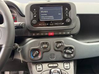 FIAT Panda usata 15