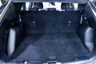 FORD Kuga usata, con Interni in pelle