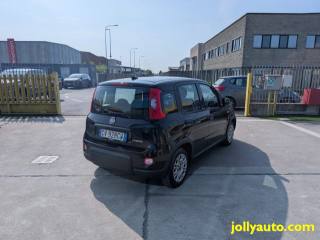FIAT Panda usata, con Antifurto