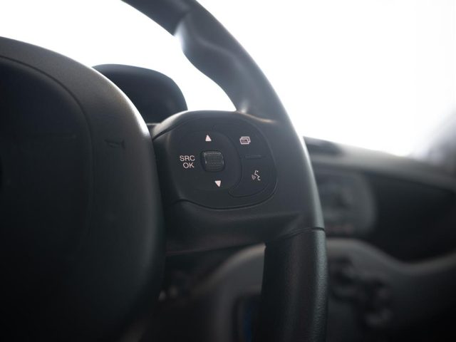 FIAT Panda usata, con Volante multifunzione