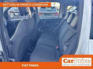 FIAT Panda usata, con Fendinebbia