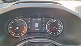 JEEP Renegade usata, con Vetri oscurati