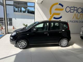 FIAT Panda usata, con Controllo automatico clima