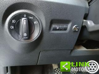 SKODA Fabia usata 40