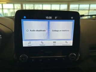 FORD EcoSport usata, con Cruise Control