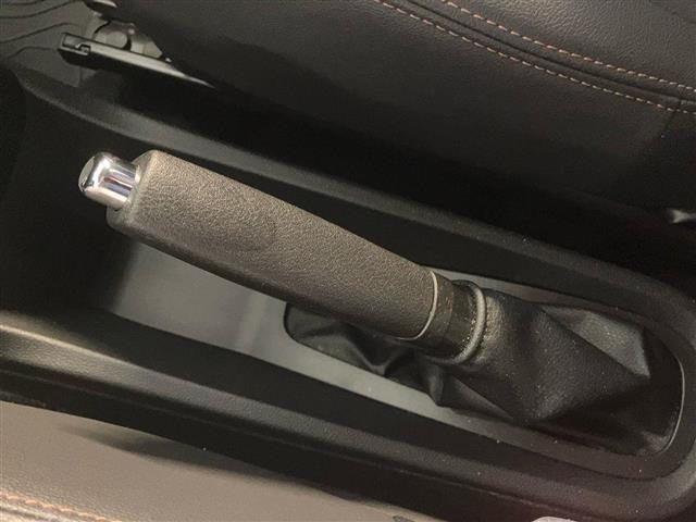 DACIA Spring usata 22