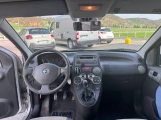 FIAT Panda usata, con Fendinebbia
