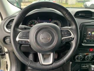 JEEP Renegade usata, con Cruise Control