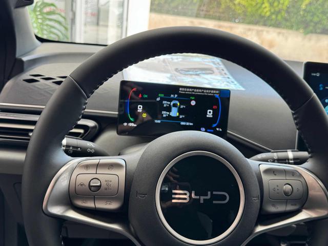 BYD Dolphin Surf usata, con Immobilizzatore elettronico