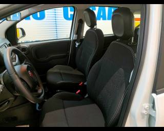 FIAT New Panda usata 15