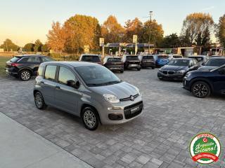 FIAT Panda usata, con Alzacristalli elettrici