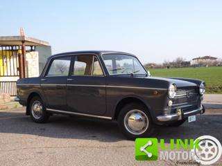 FIAT 1100 usata 42