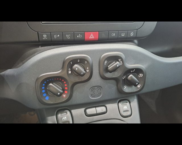 FIAT New Panda usata, con Portellone posteriore elettrico