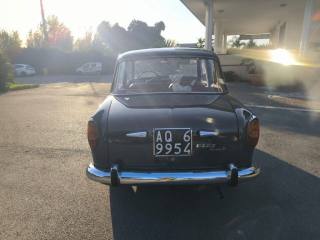 FIAT 1100 usata 6