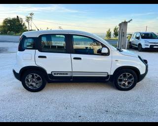 FIAT Panda usata, con Controllo trazione