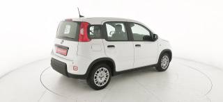 FIAT Panda usata, con Isofix