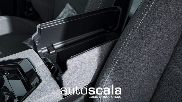 RENAULT Austral usata, con Controllo vocale