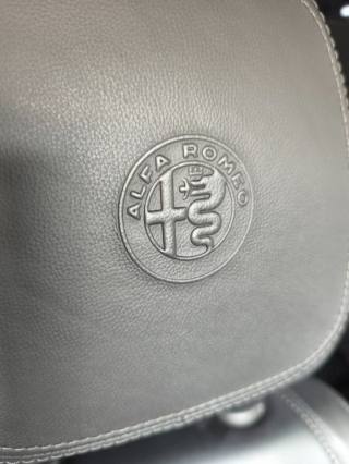 ALFA ROMEO Stelvio usata, con Fendinebbia