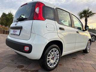 FIAT Panda usata, con Airbag Passeggero