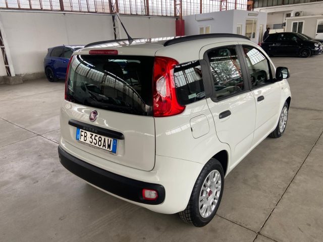 FIAT Panda usata 4