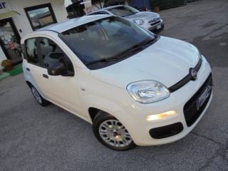 FIAT Panda usata 14