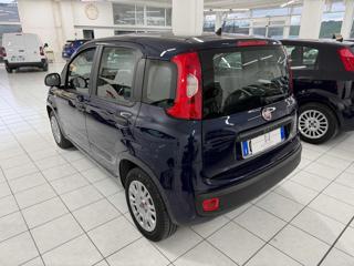 FIAT Panda usata, con Alzacristalli elettrici
