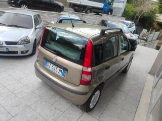 FIAT Panda usata, con ESP