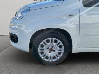 FIAT Panda usata 18
