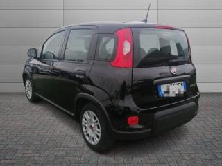 FIAT Panda usata, con Antifurto