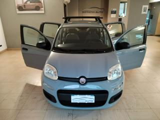 FIAT Panda usata, con Antifurto
