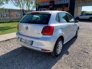 VOLKSWAGEN Polo usata, con Airbag Passeggero