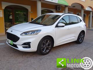 FORD Kuga 2.0 TDCI HYBRID/DIESEL 2WD 150 CV